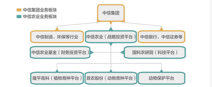 中文组织架构图.png