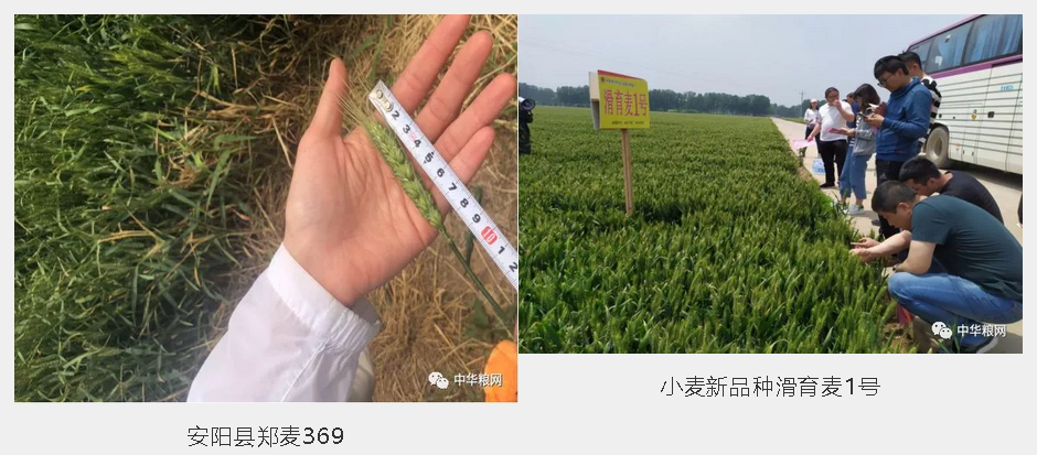 20190530336063.png